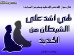 Sefa salah0011